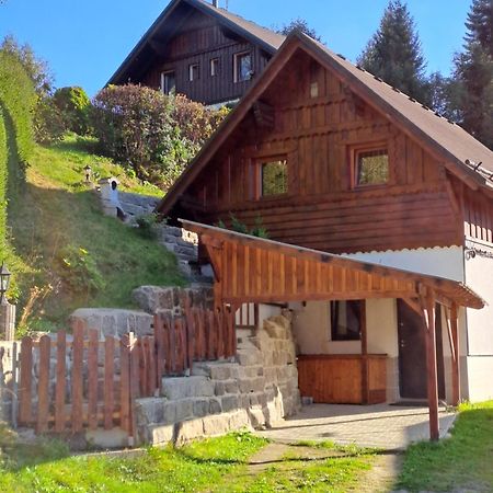 Apartmán Albrecht Albrechtice v Jizerskych horach Esterno foto