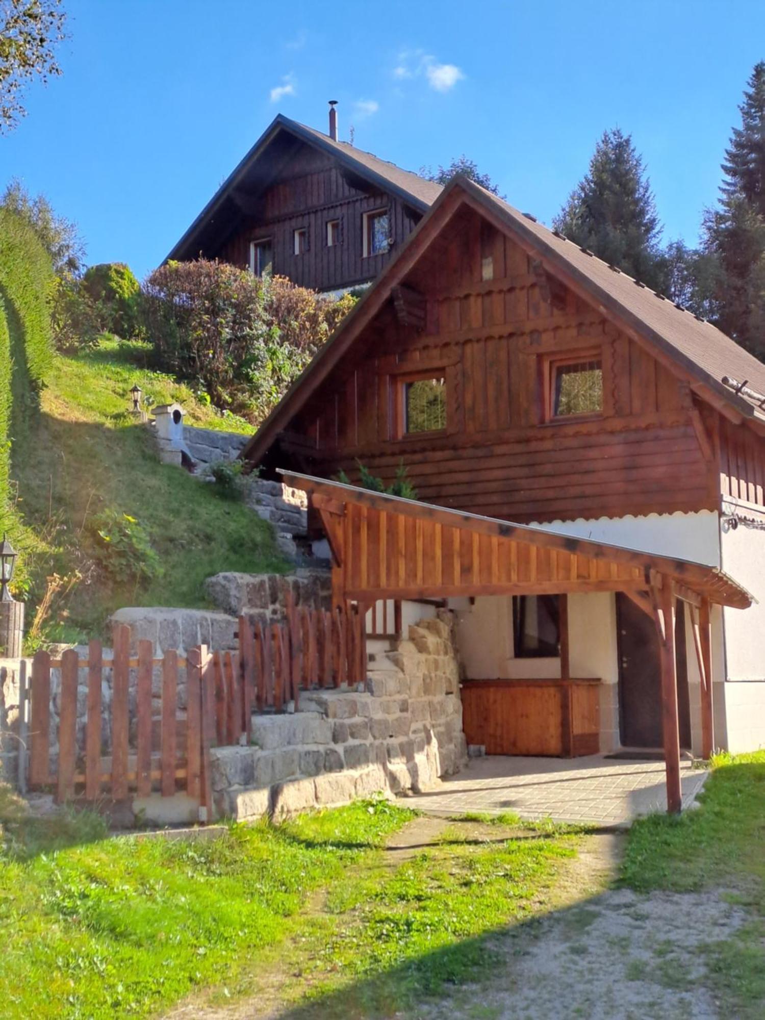Apartmán Albrecht Albrechtice v Jizerskych horach Esterno foto